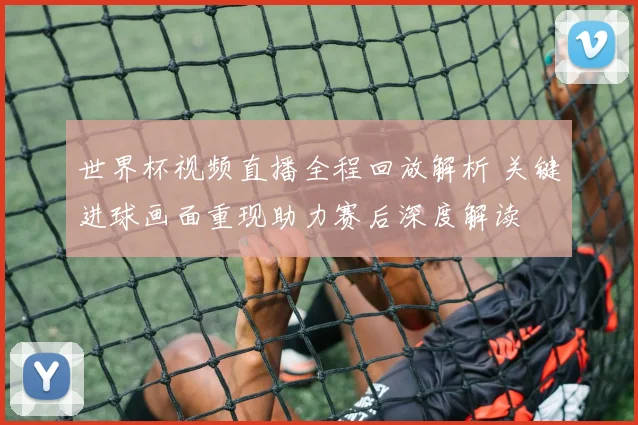 世界杯视频直播全程回放解析 关键进球画面重现助力赛后深度解读