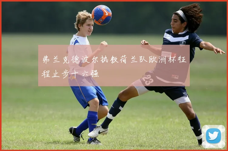 弗兰克德波尔执教荷兰队欧洲杯征程止步十六强