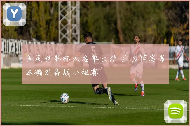 国足世界杯大名单出炉 主力阵容基本确定备战小组赛