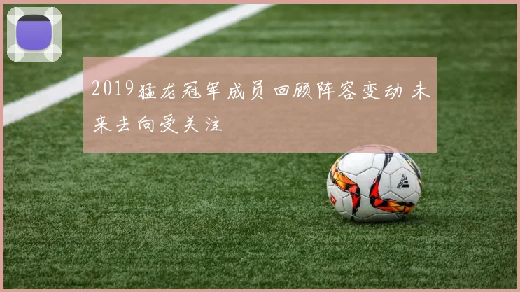 2019猛龙冠军成员回顾阵容变动 未来去向受关注