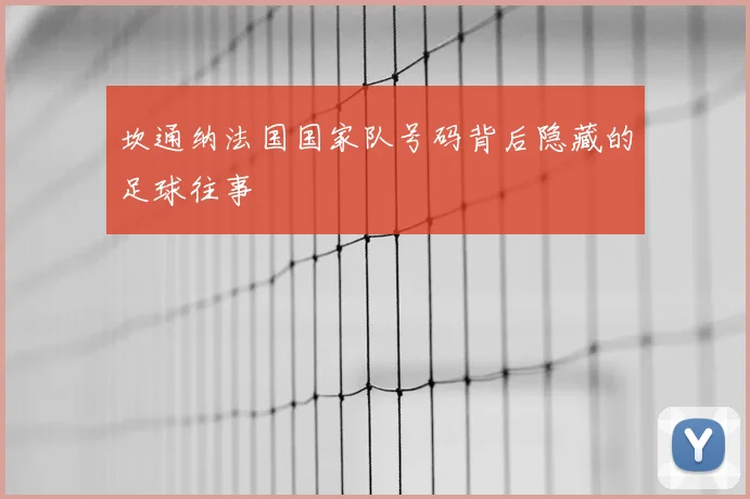 坎通纳法国国家队号码背后隐藏的足球往事