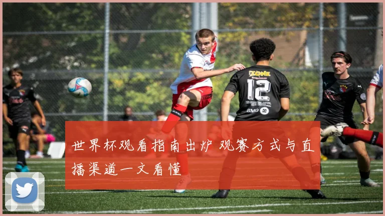 世界杯观看指南出炉 观赛方式与直播渠道一文看懂