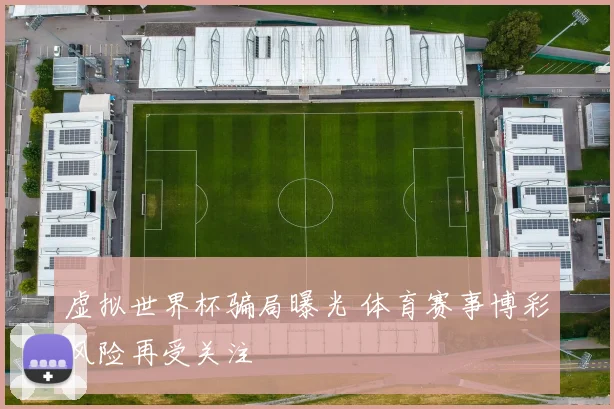 虚拟世界杯骗局曝光 体育赛事博彩风险再受关注