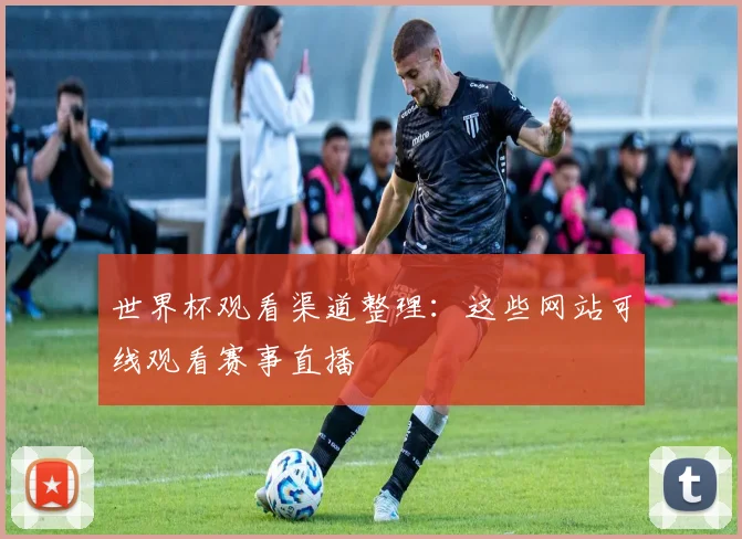 世界杯观看渠道整理:这些网站可线观看赛事直播