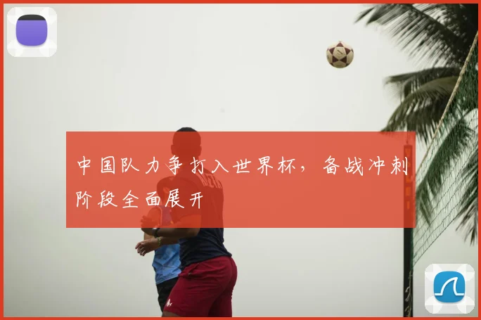 中国队力争打入世界杯，备战冲刺阶段全面展开