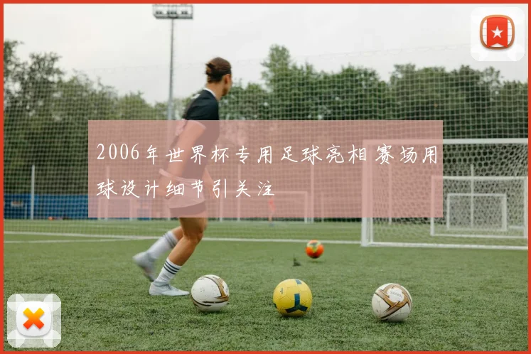 2006年世界杯专用足球亮相 赛场用球设计细节引关注