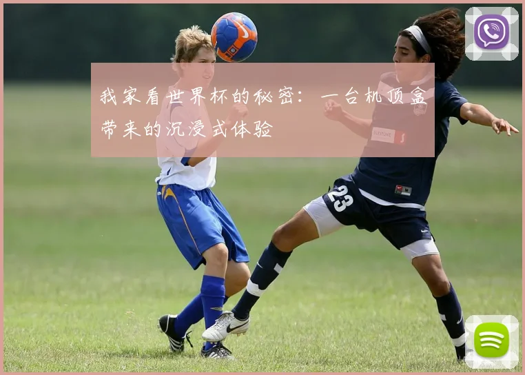 我家看世界杯的秘密:一台机顶盒带来的沉浸式体验