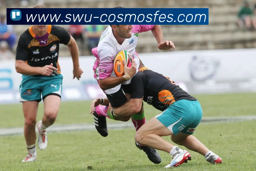 开云app登录入口网址品牌故事